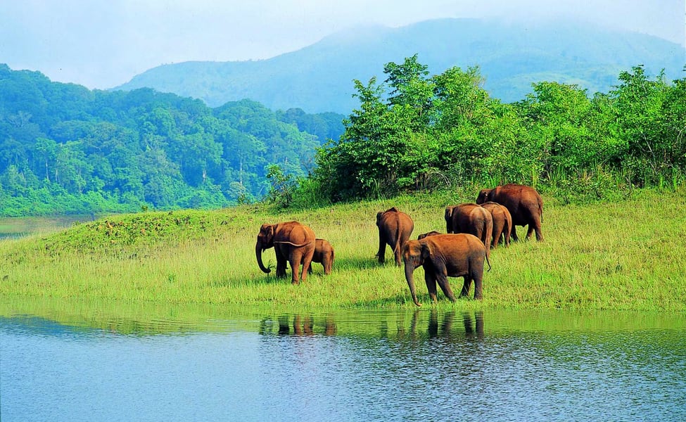 Idukki