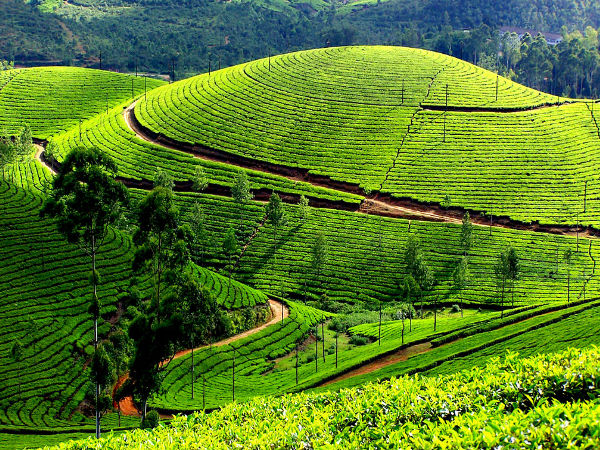 Idukki